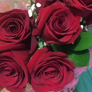 Meet your Posher, Ramírez